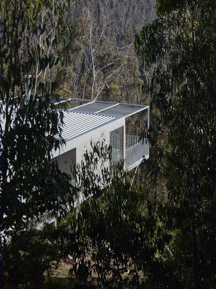 Cumulus House 现代简约别墅设计丨Chris Connell-11