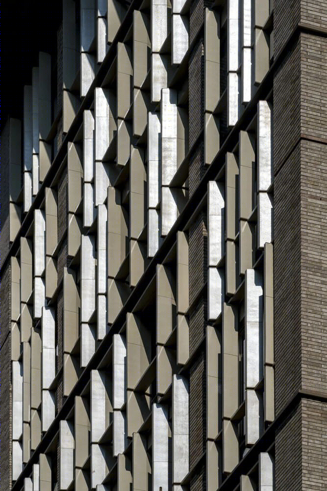 一条伟大的琼斯小巷-13