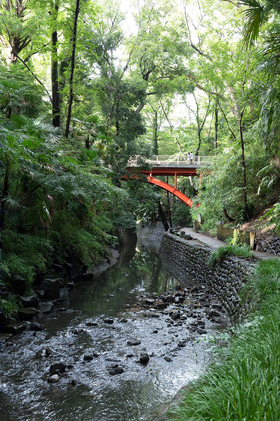 Todoroki 谷畔简约住宅丨日本东京丨Ryuichi Sasaki,Sasaki Architecture-73