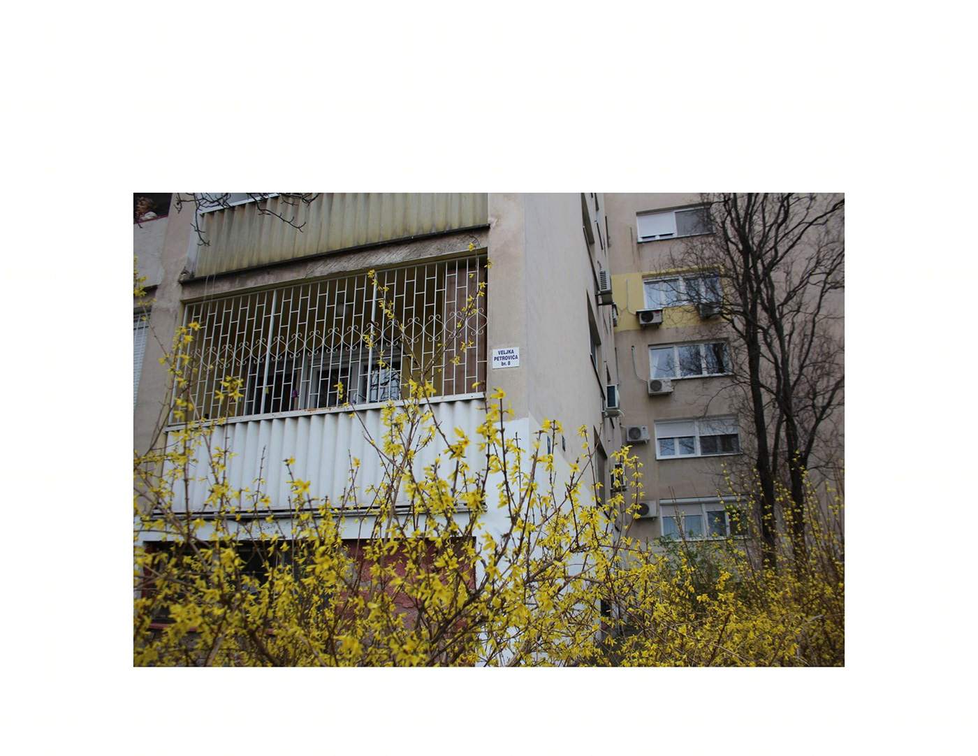 Anastasiya Gushchina丨公寓建筑丨NATURE VS HUMANITY-0