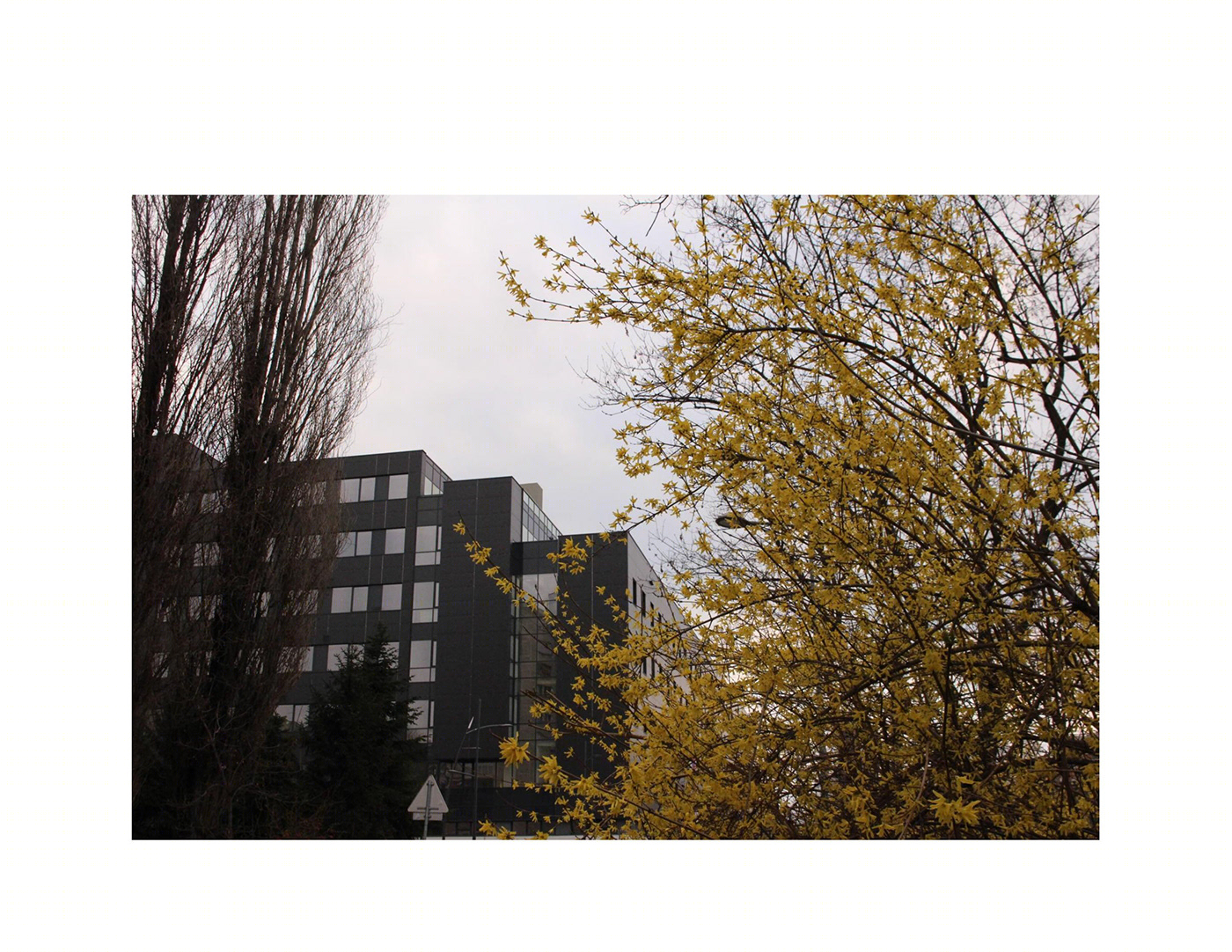 Anastasiya Gushchina丨公寓建筑丨NATURE VS HUMANITY-1