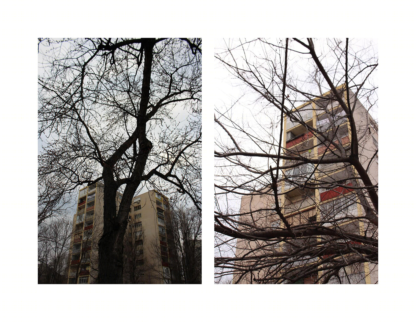 Anastasiya Gushchina丨公寓建筑丨NATURE VS HUMANITY-2