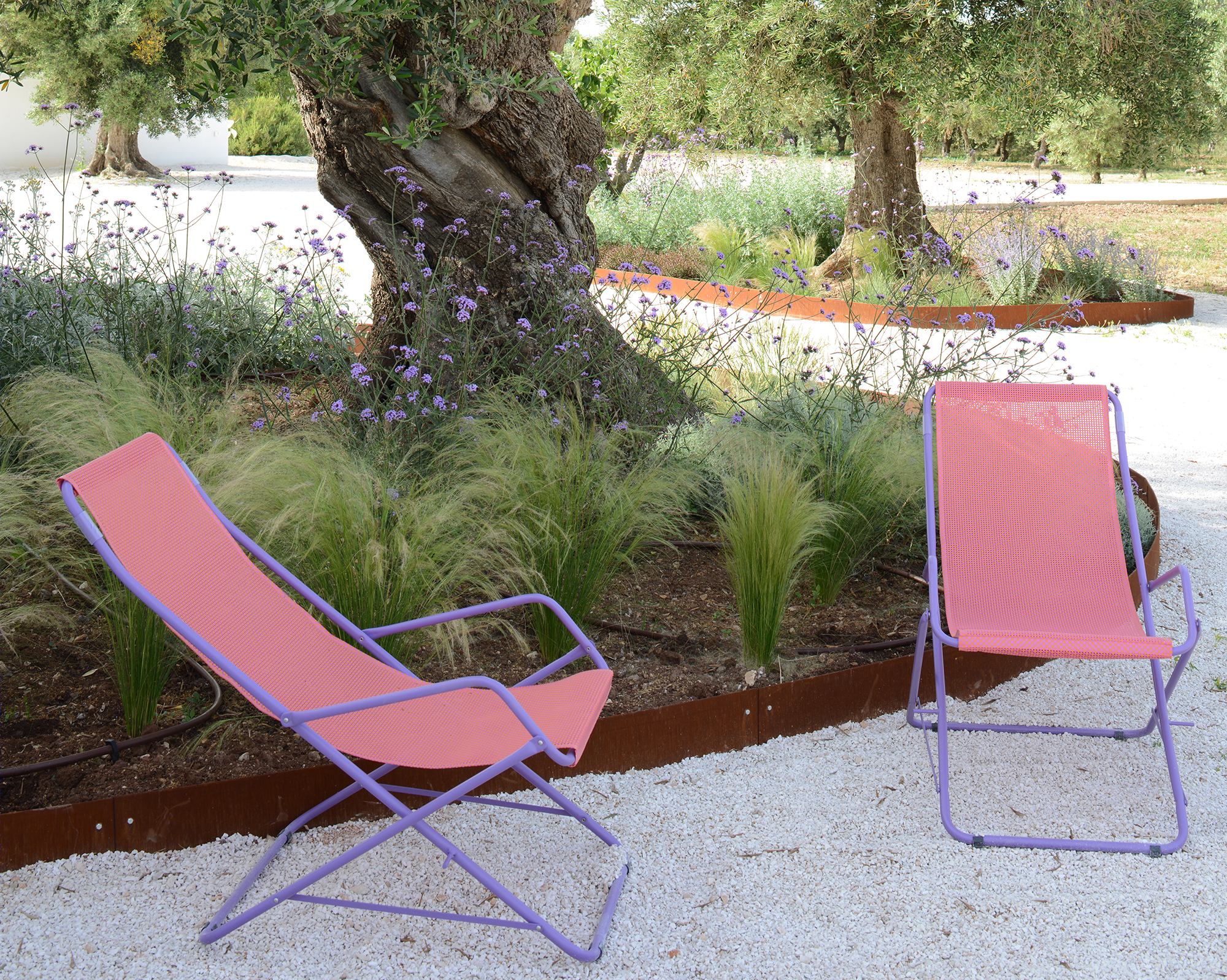 意大利百年橄榄园中的乡村别墅设计-19