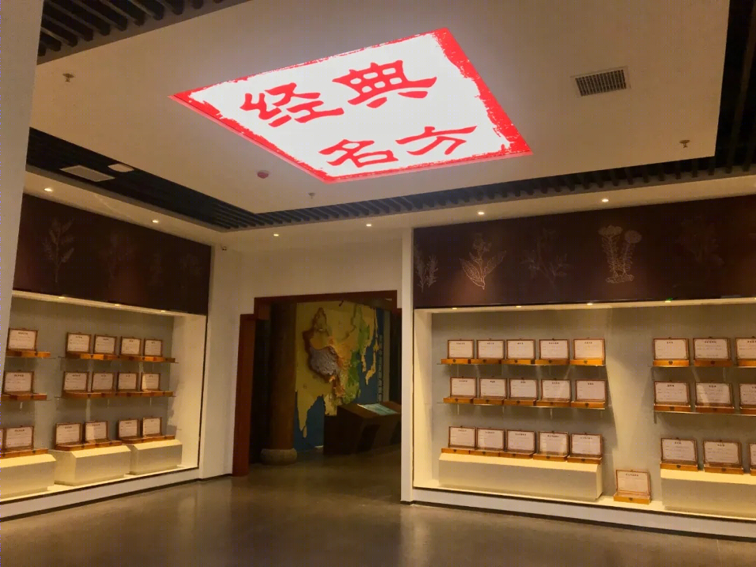 江西中医药文化馆——室内设计展现中医文化魅力-5