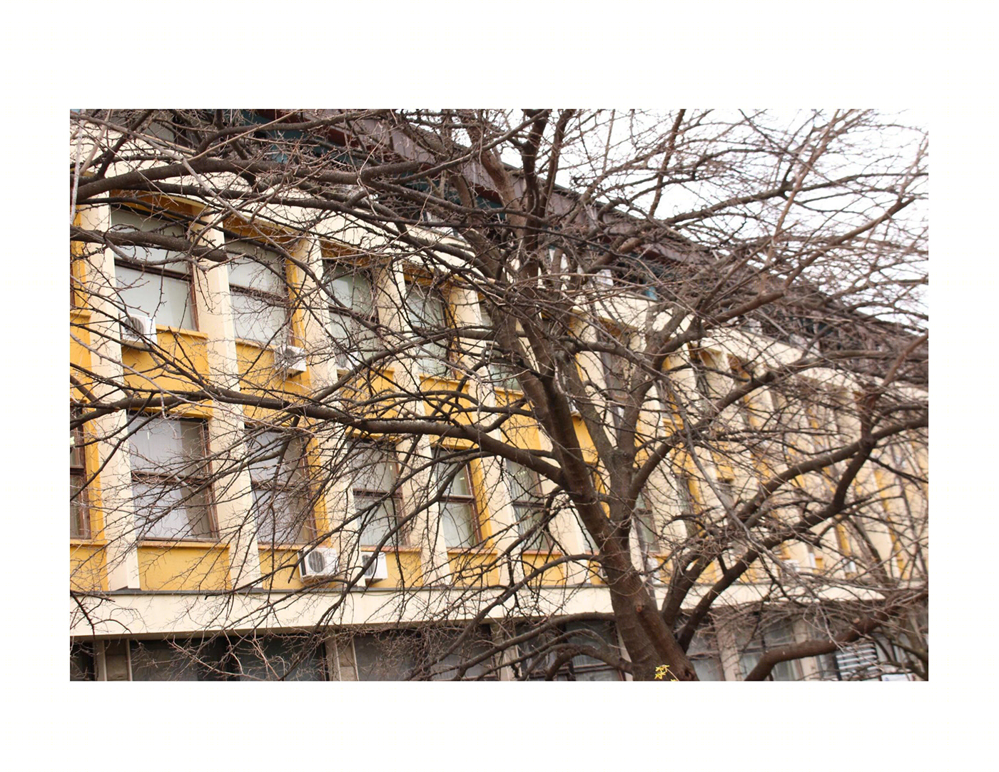 Anastasiya Gushchina丨公寓建筑丨NATURE VS HUMANITY-3