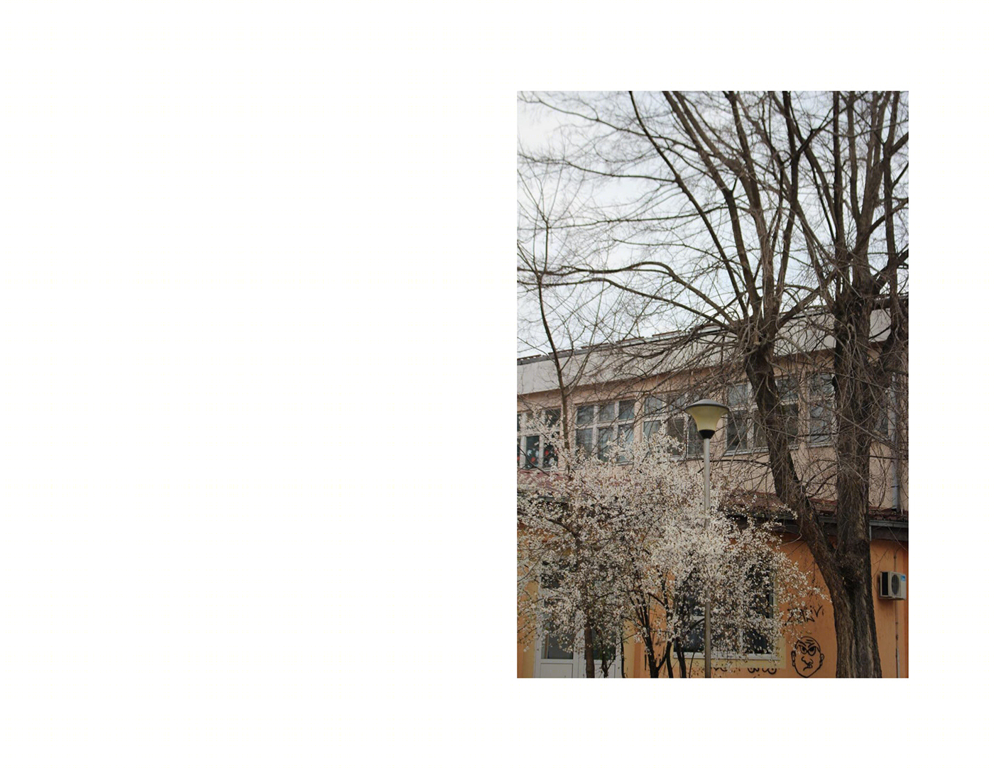 Anastasiya Gushchina丨公寓建筑丨NATURE VS HUMANITY-4