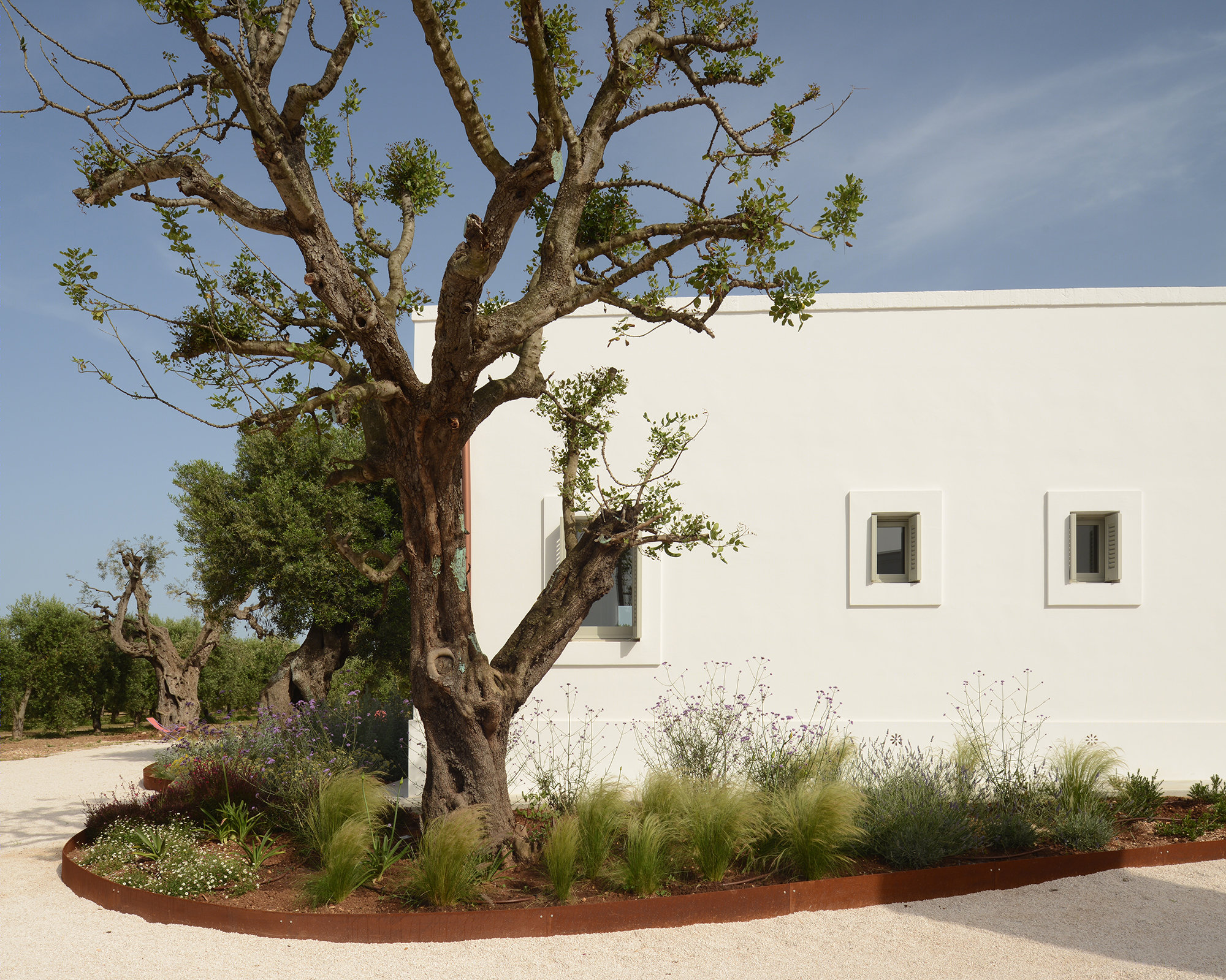 意大利百年橄榄园中的乡村别墅设计-22