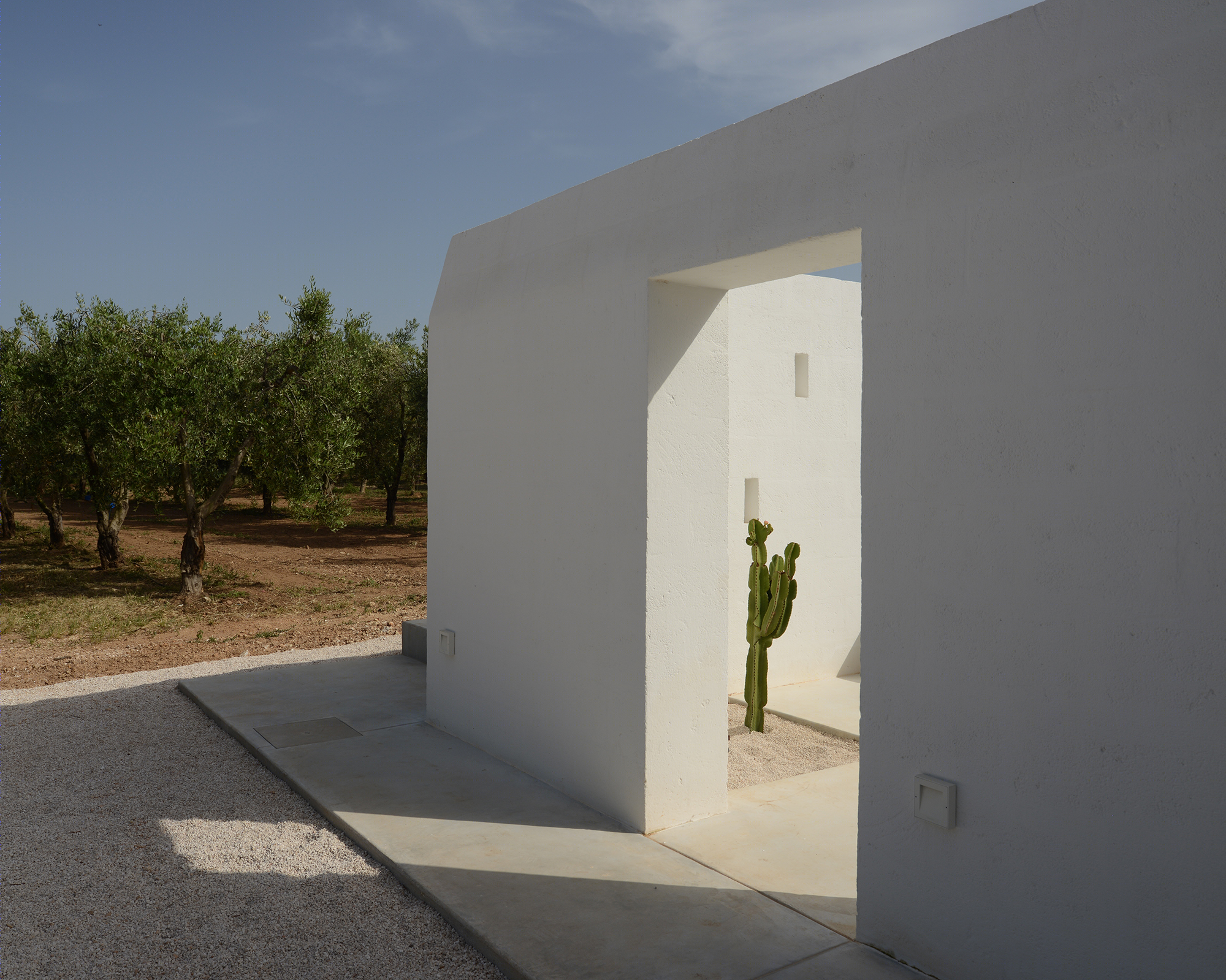 意大利百年橄榄园中的乡村别墅设计-23