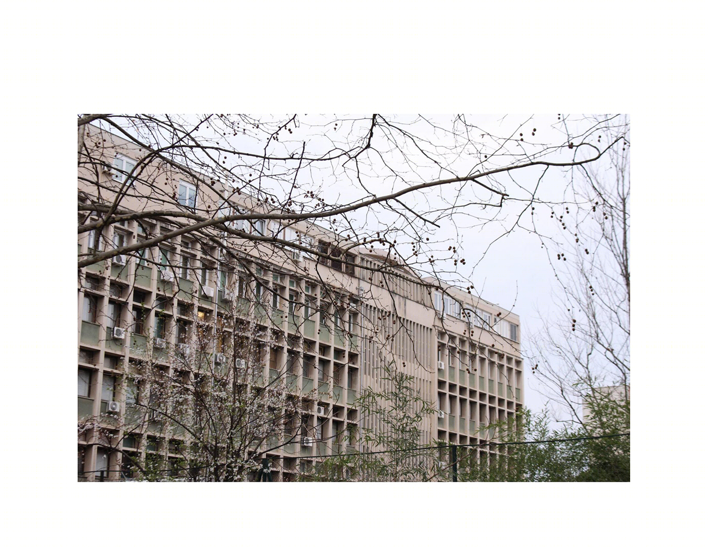 Anastasiya Gushchina丨公寓建筑丨NATURE VS HUMANITY-7