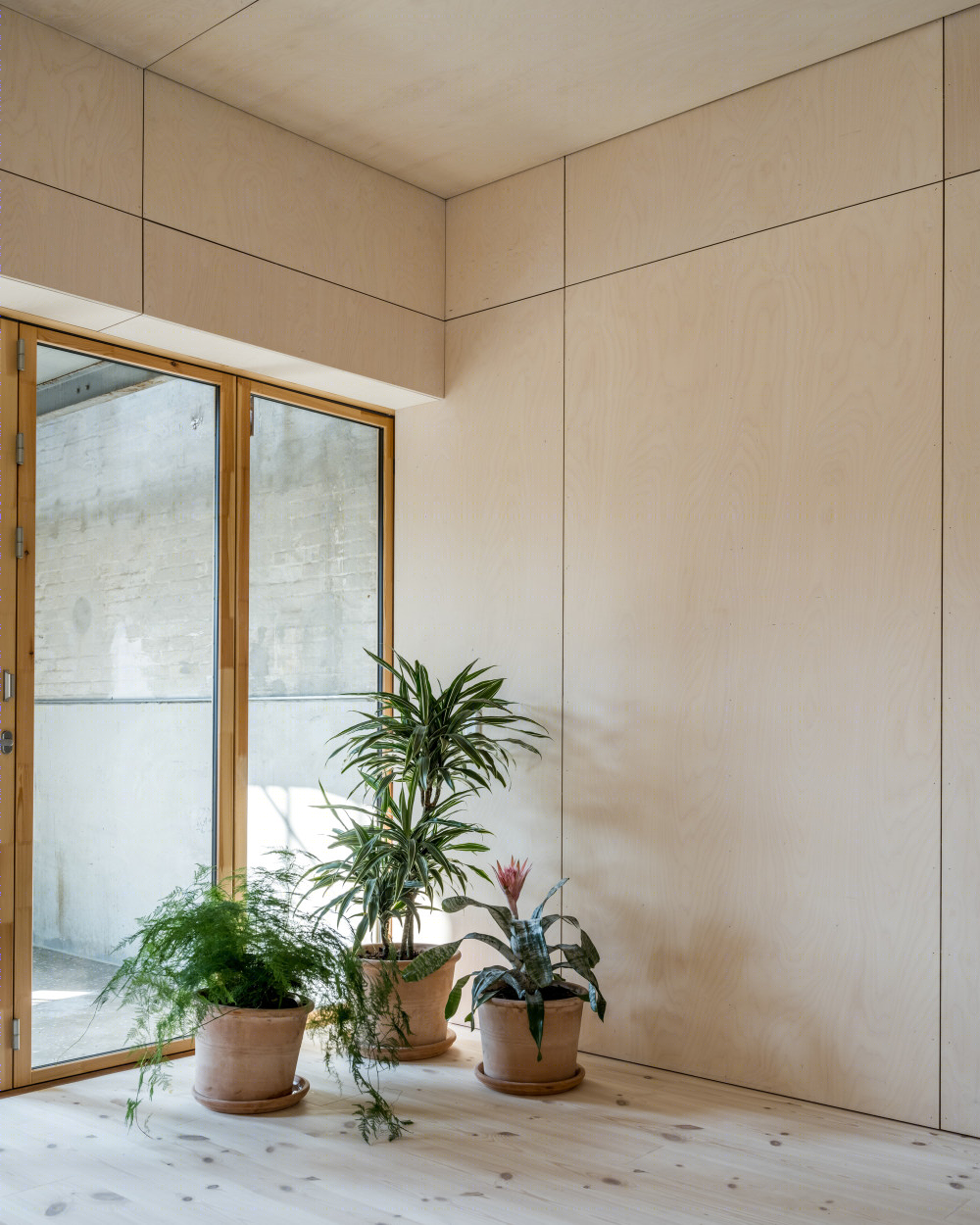 屋中屋-73