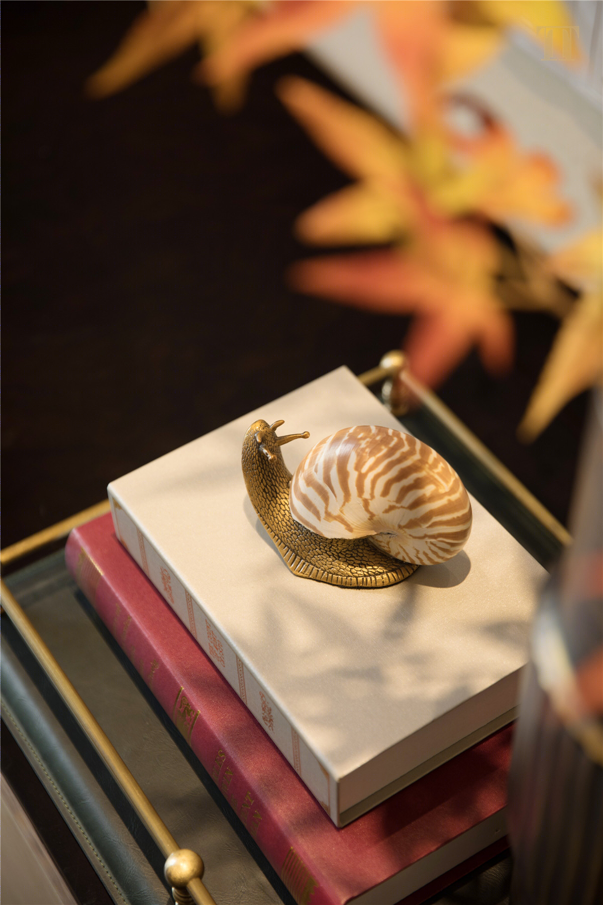 广州天颐华府别墅样板房 | TT新作-16