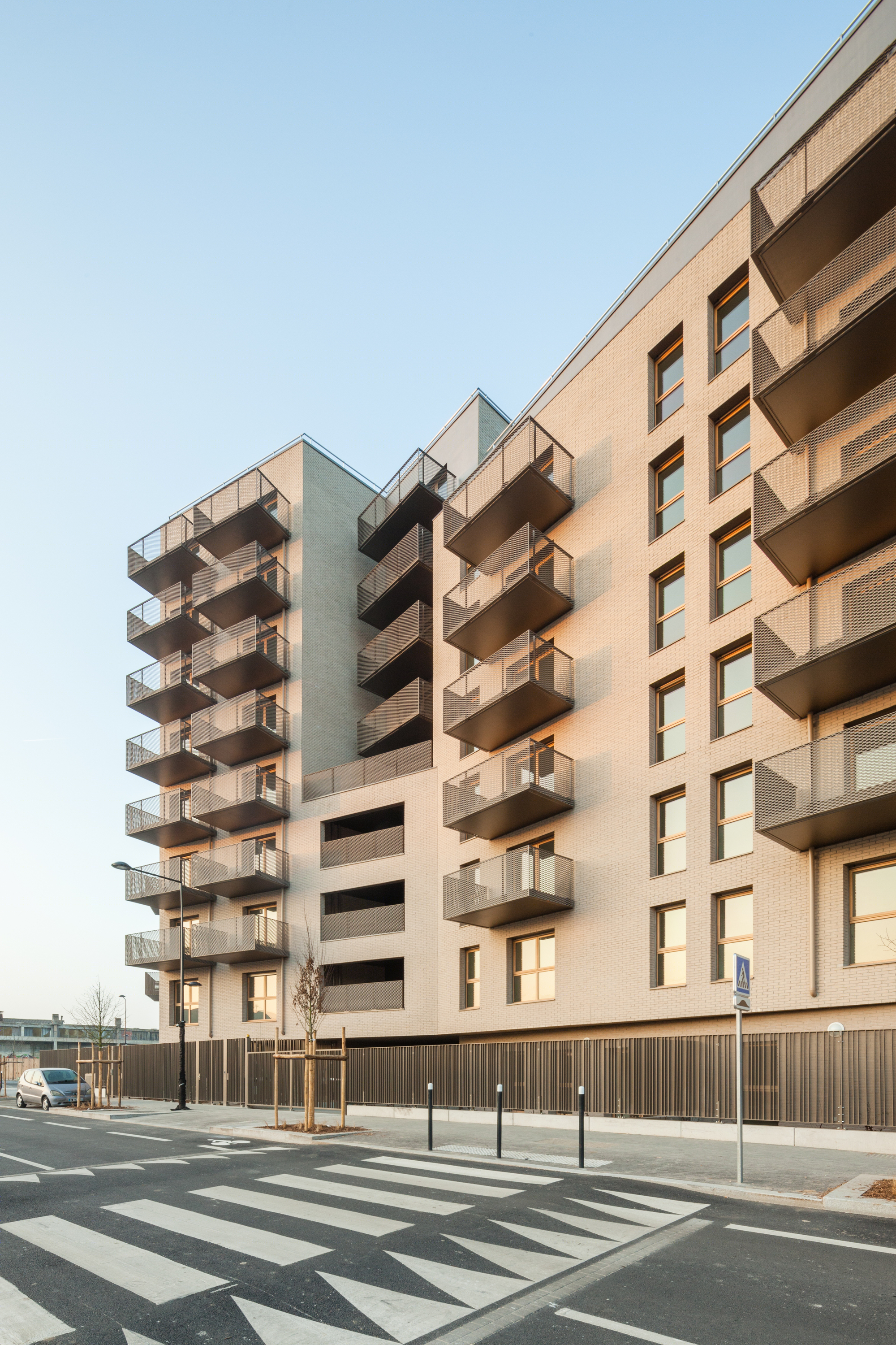 Montjoie 混合用 Comple·-18