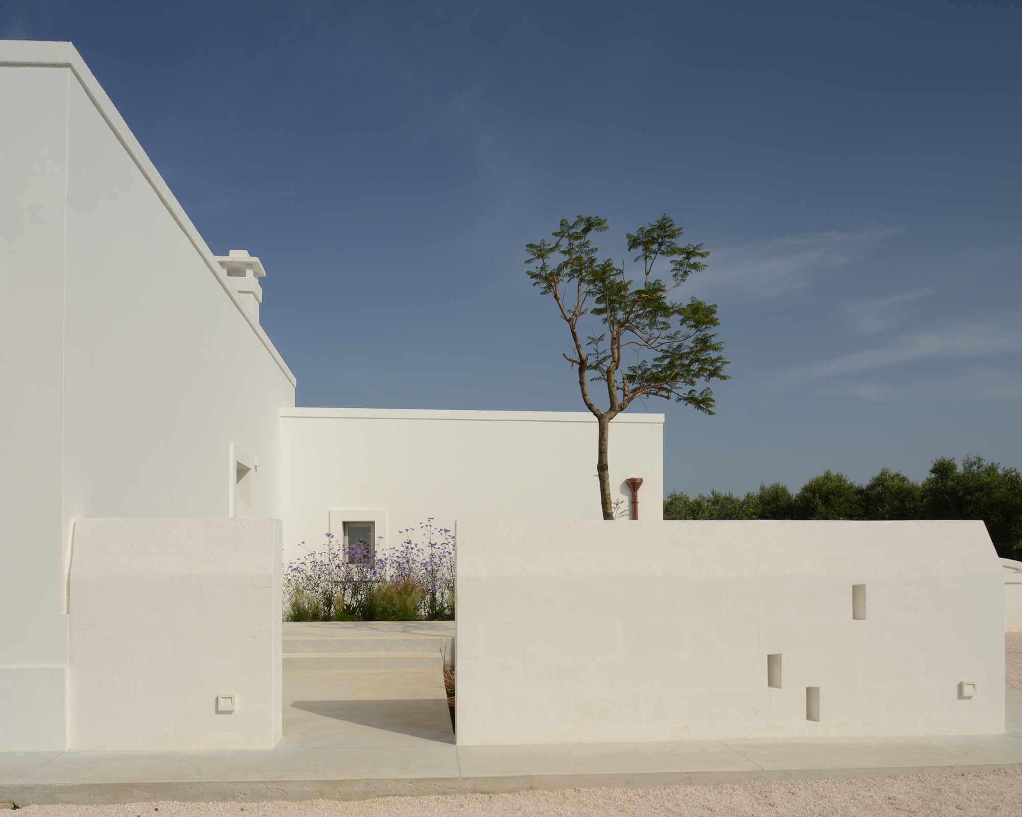 意大利百年橄榄园中的乡村别墅设计-24