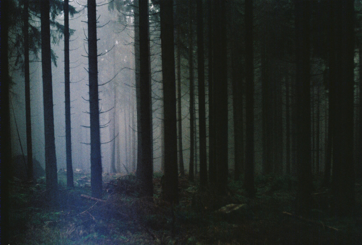 ANALOGUE PHOTOGRAPHY-9