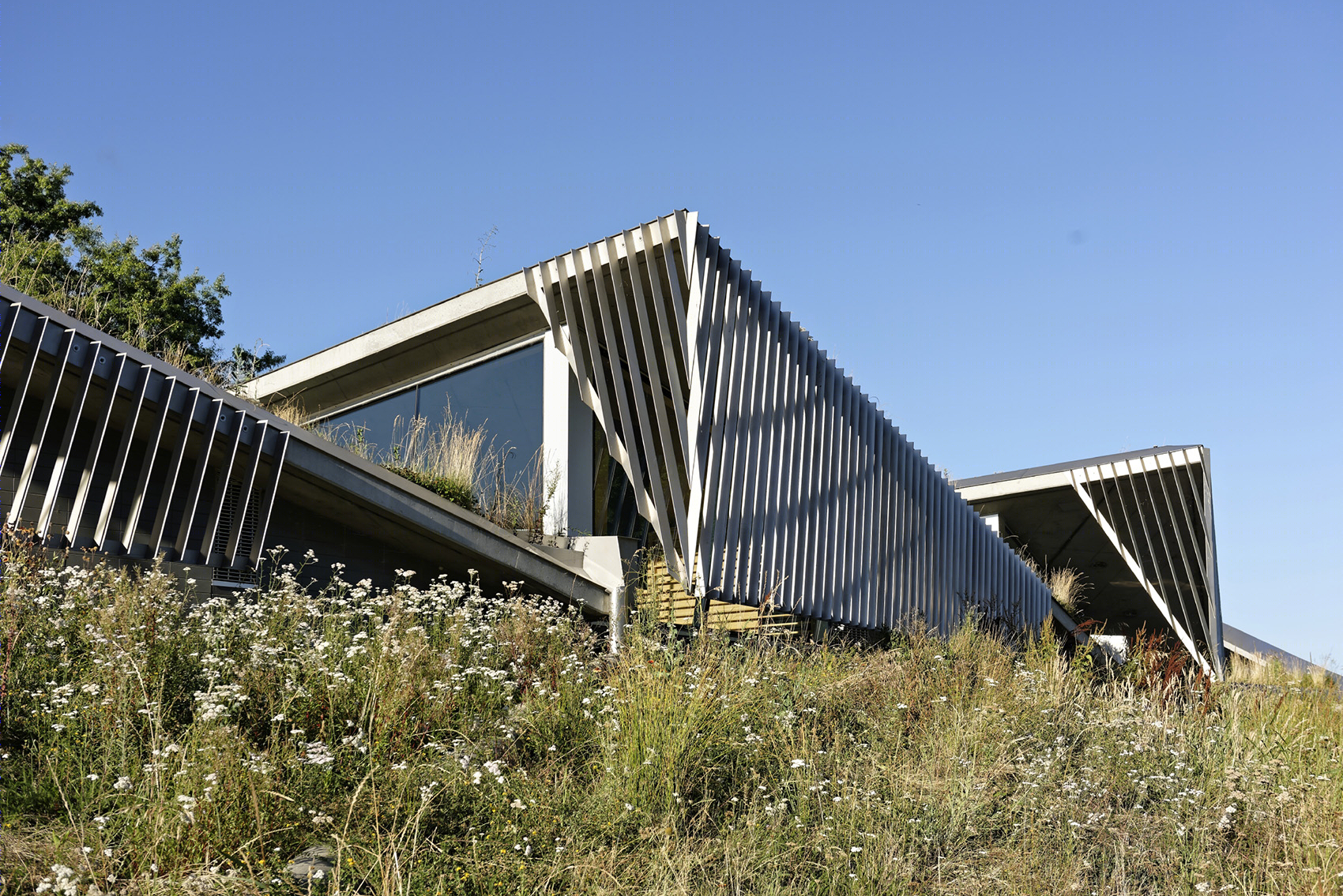 波特兰环保局“折叠式种植坡屋顶”建筑-13