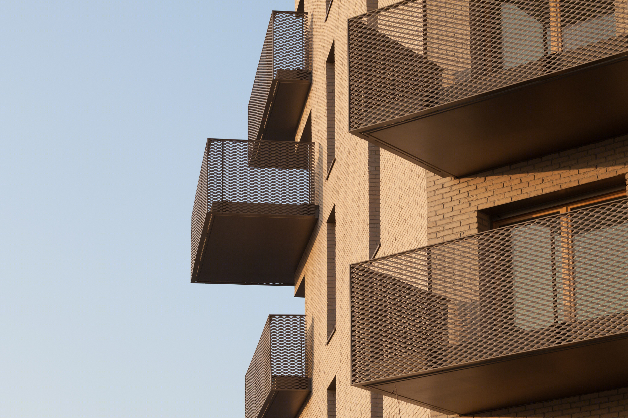 Montjoie 混合用 Comple·-20