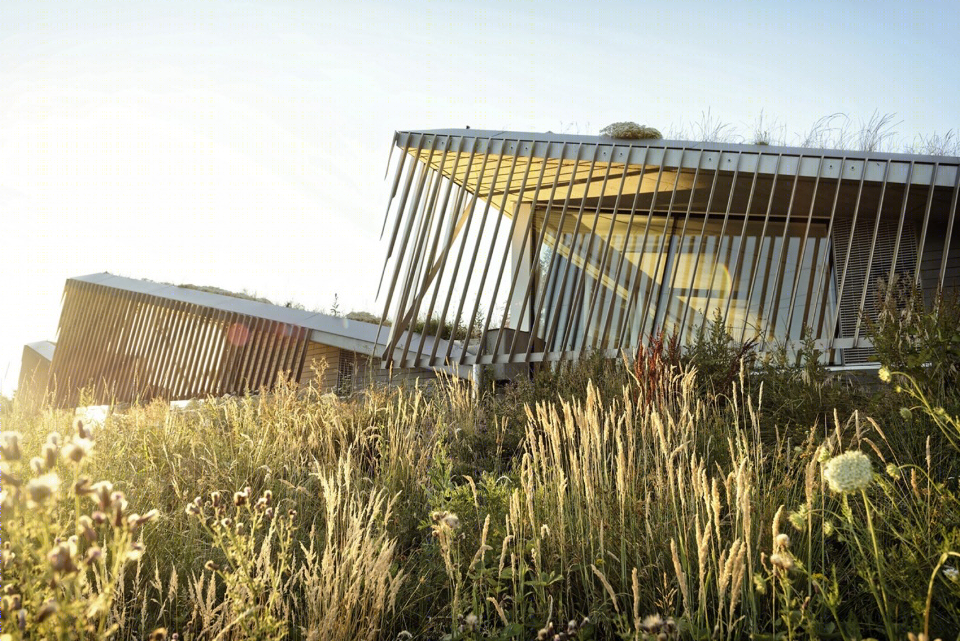 波特兰环保局“折叠式种植坡屋顶”建筑-14