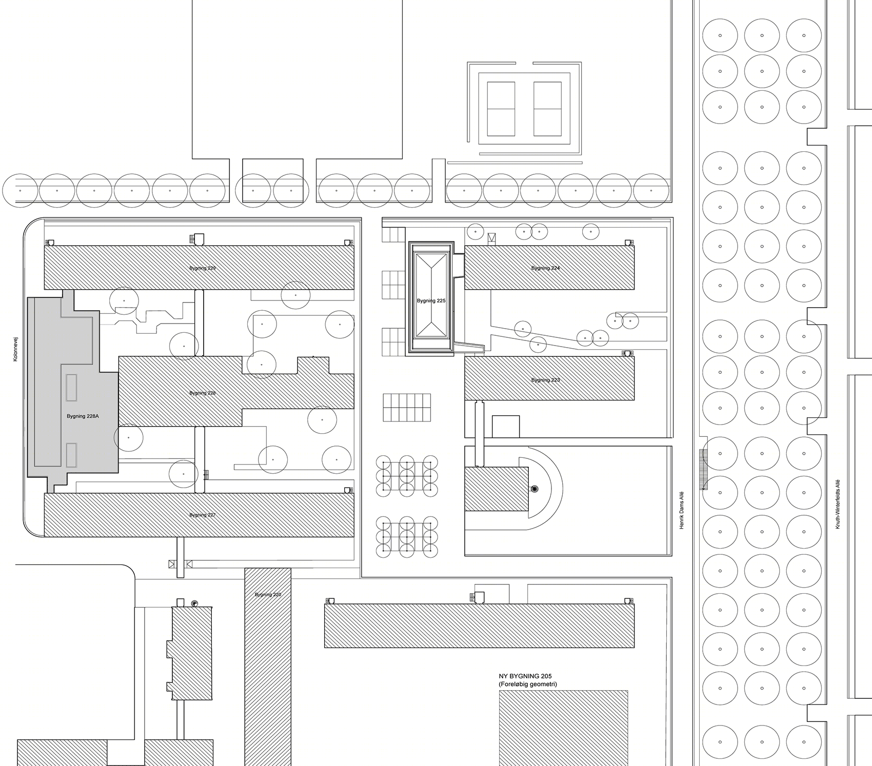 丹麦 DTU 化工学院 228 号楼丨Mikkelsen Architects-37