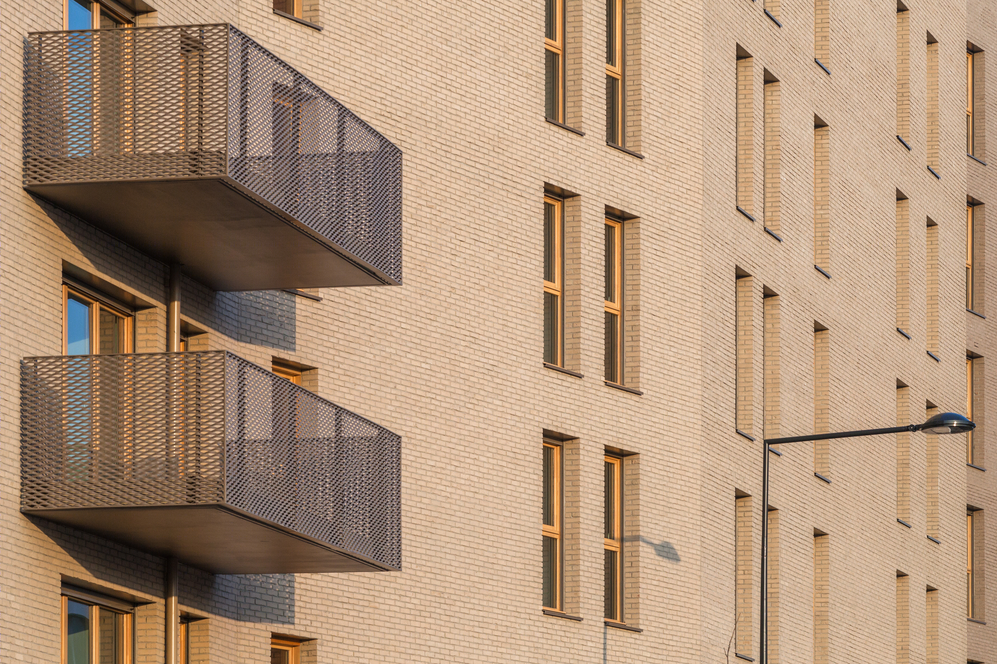 Montjoie 混合用 Comple·-22