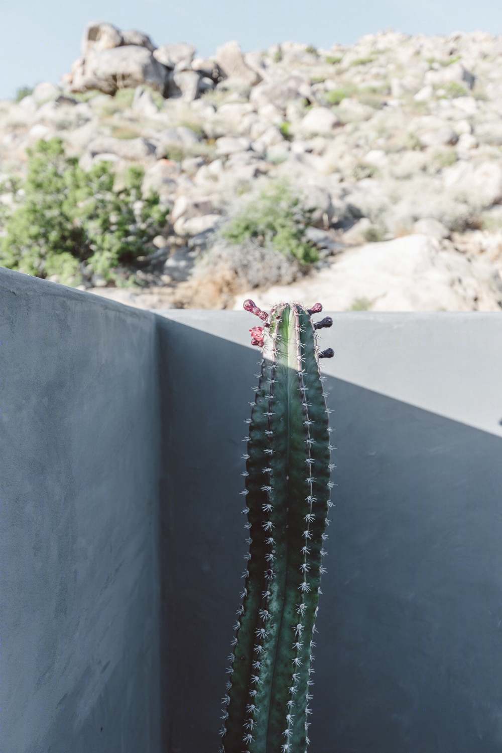 沙漠绿洲——库鲁别墅 Mini Inno 设计-57