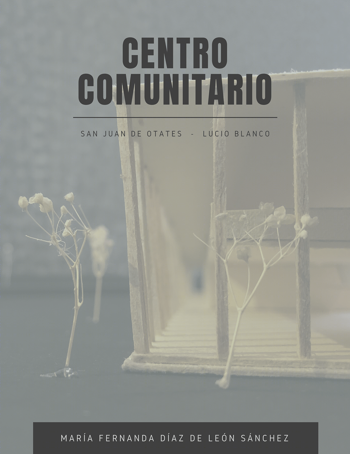 CENTRO COMUNITARIO_A00571139-0