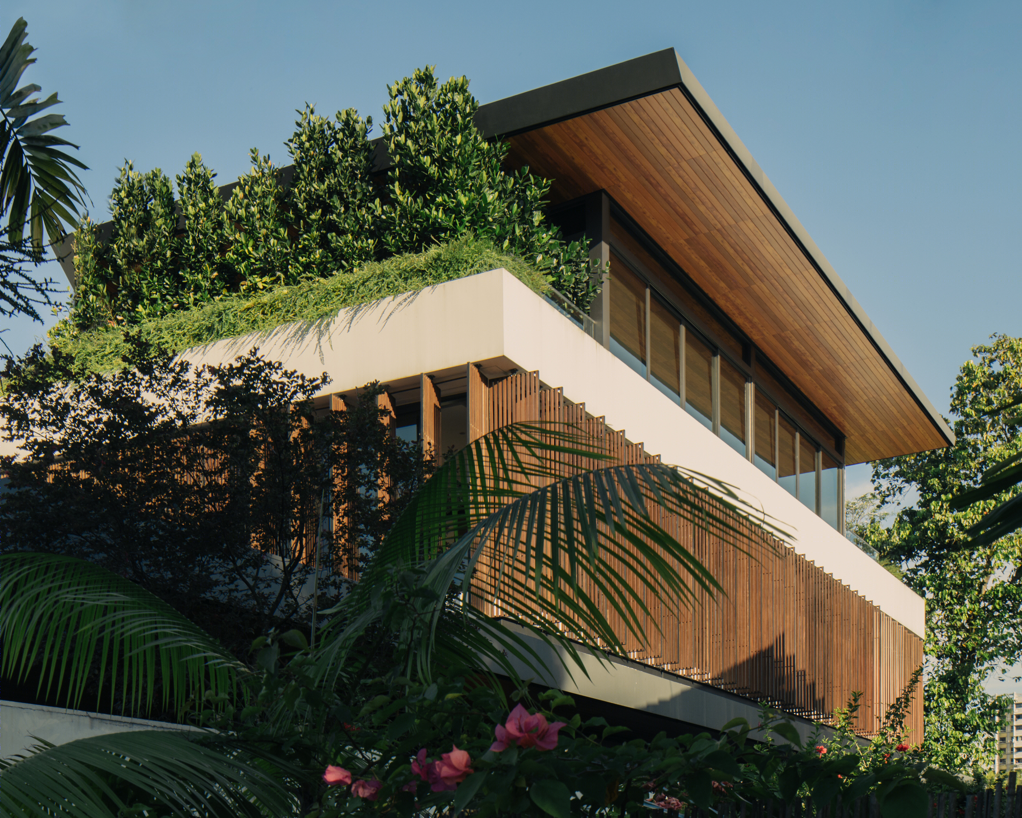 Second Nature House · 别墅设计融入自然,打破边界-16