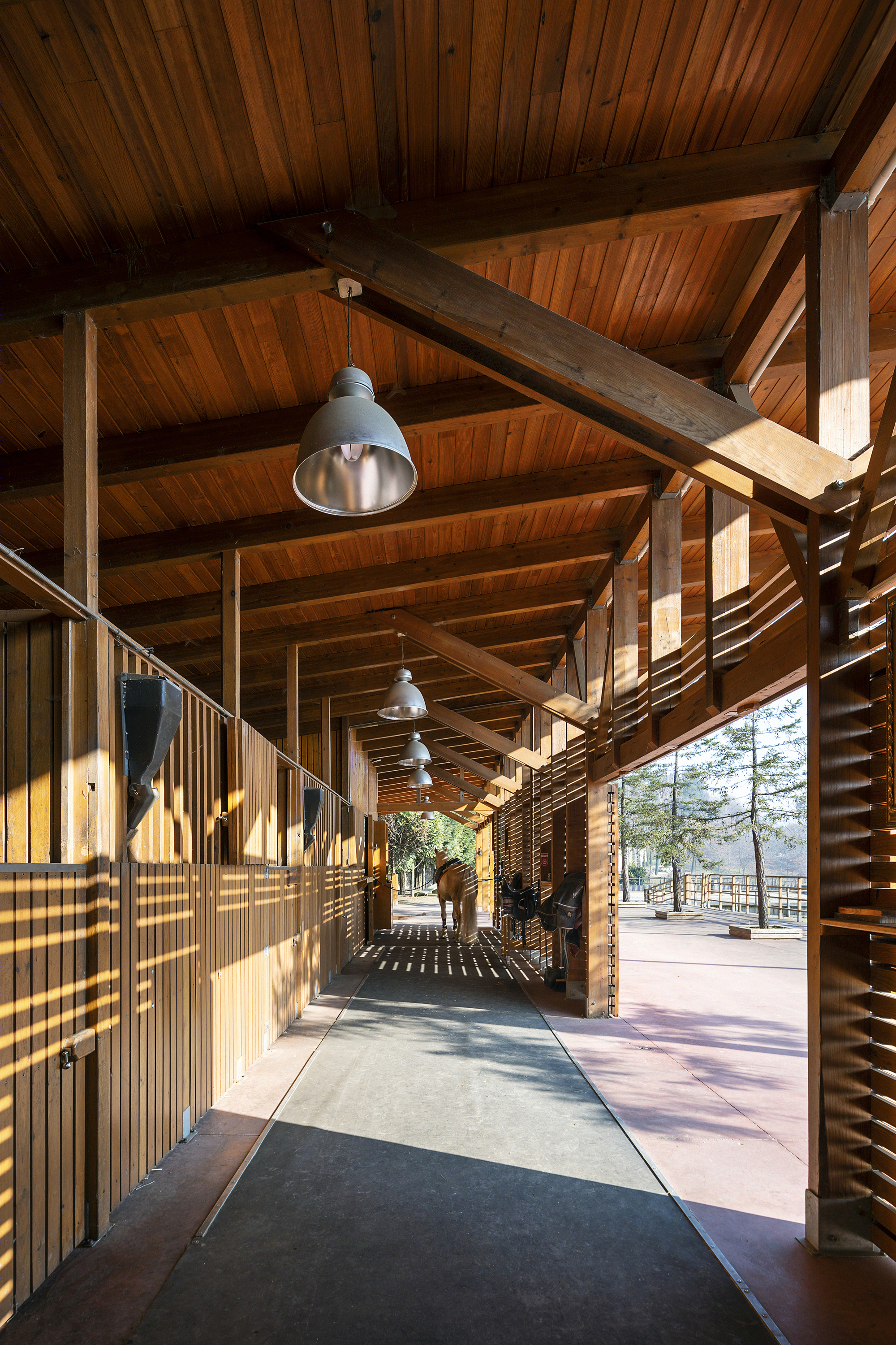 葡萄牙 MG Coudelaria Stud Farm 自然共生马场设计-5