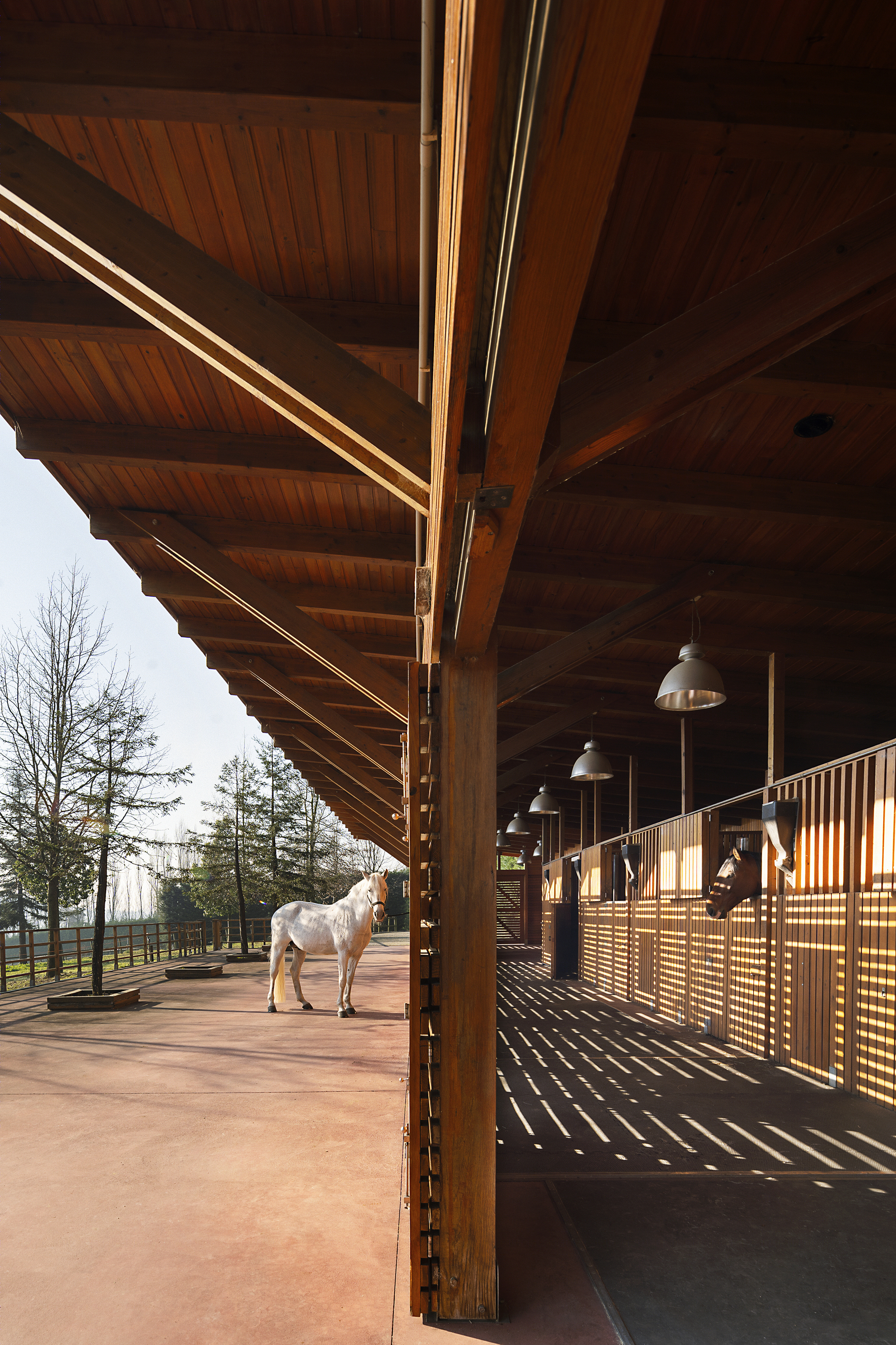 葡萄牙 MG Coudelaria Stud Farm 自然共生马场设计-6