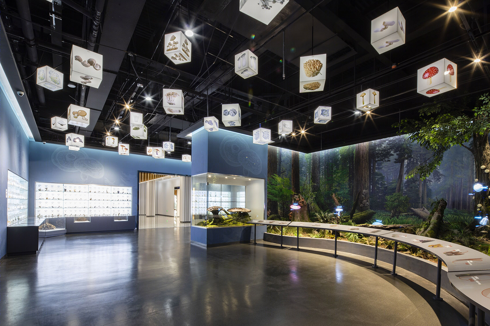 山东邹城蘑菇展览馆丨中国山东丨同圆设计集团-50