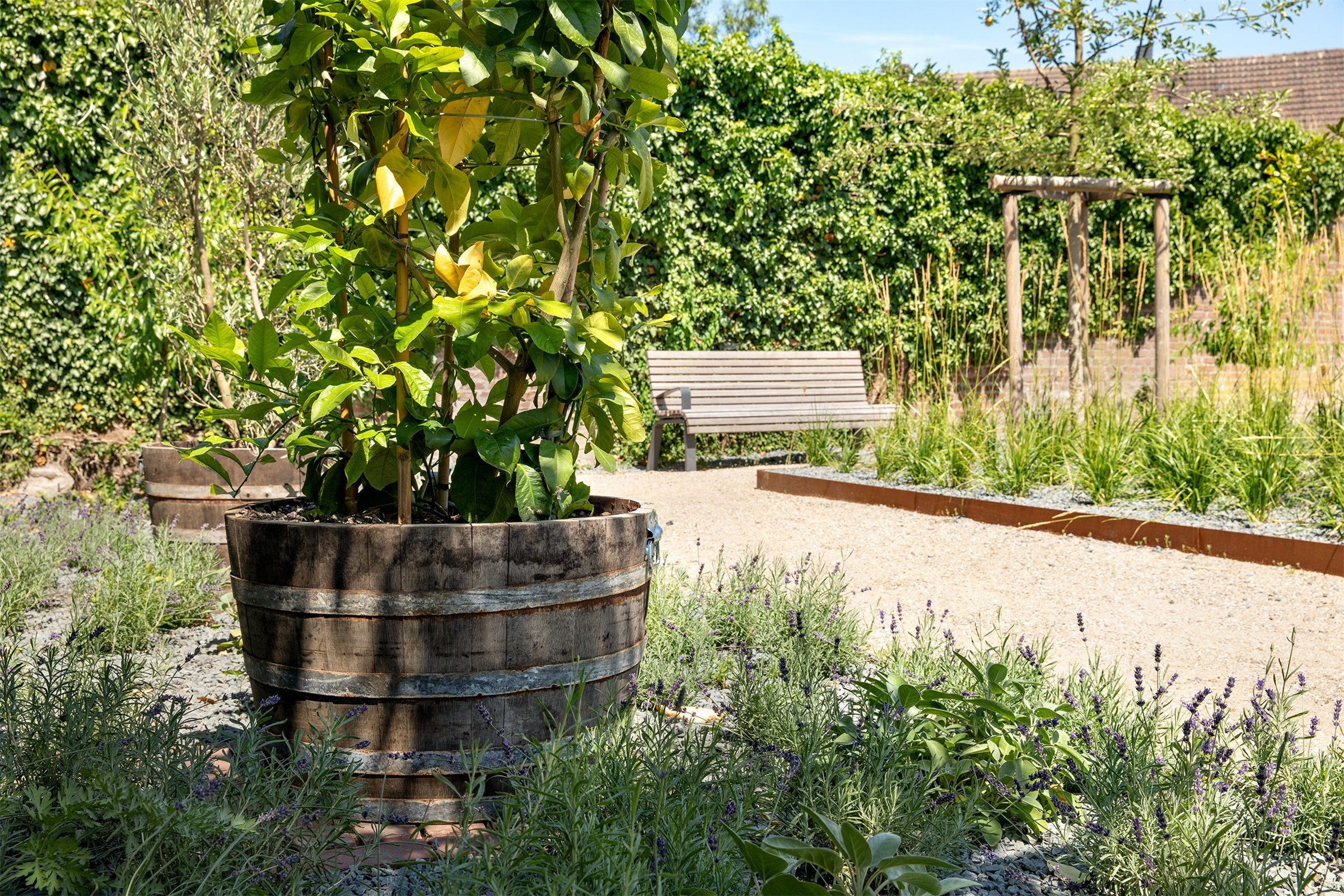 邂逅公园,克桑滕城墙区更新改造-36