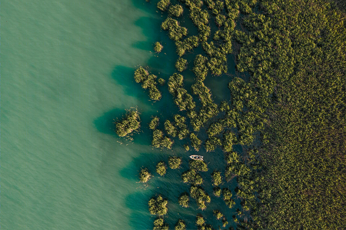 水韵绿洲丨Szabó Viktor-1