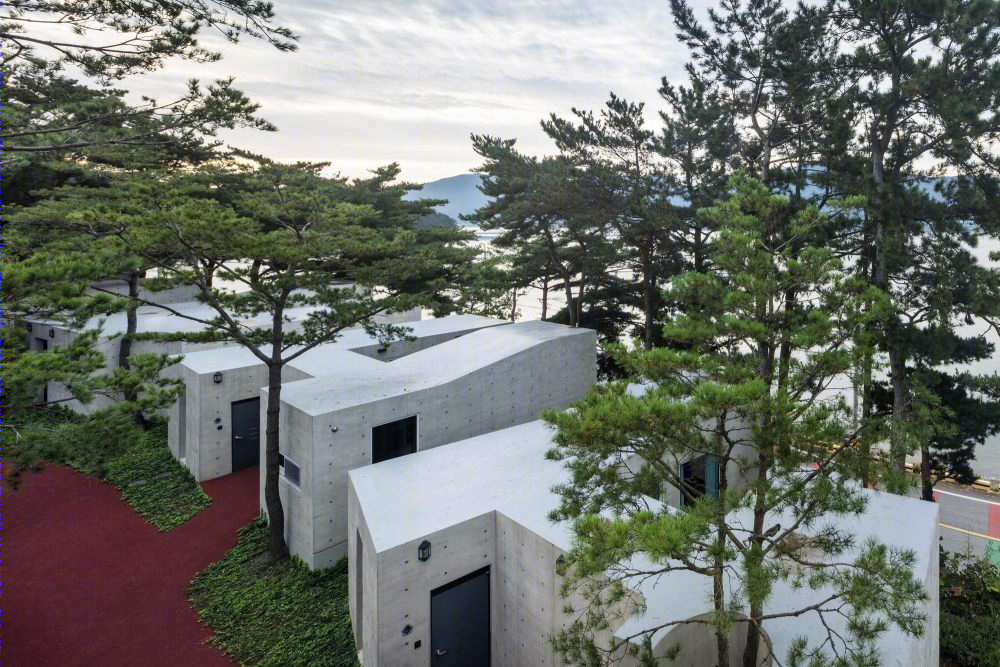 韩国“快乐君主码头俱乐部酒店”-28