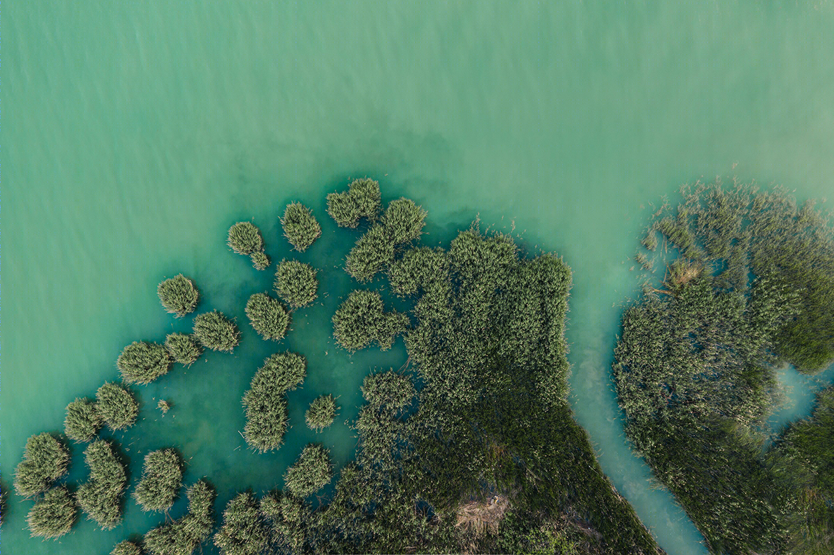 水韵绿洲丨Szabó Viktor-3