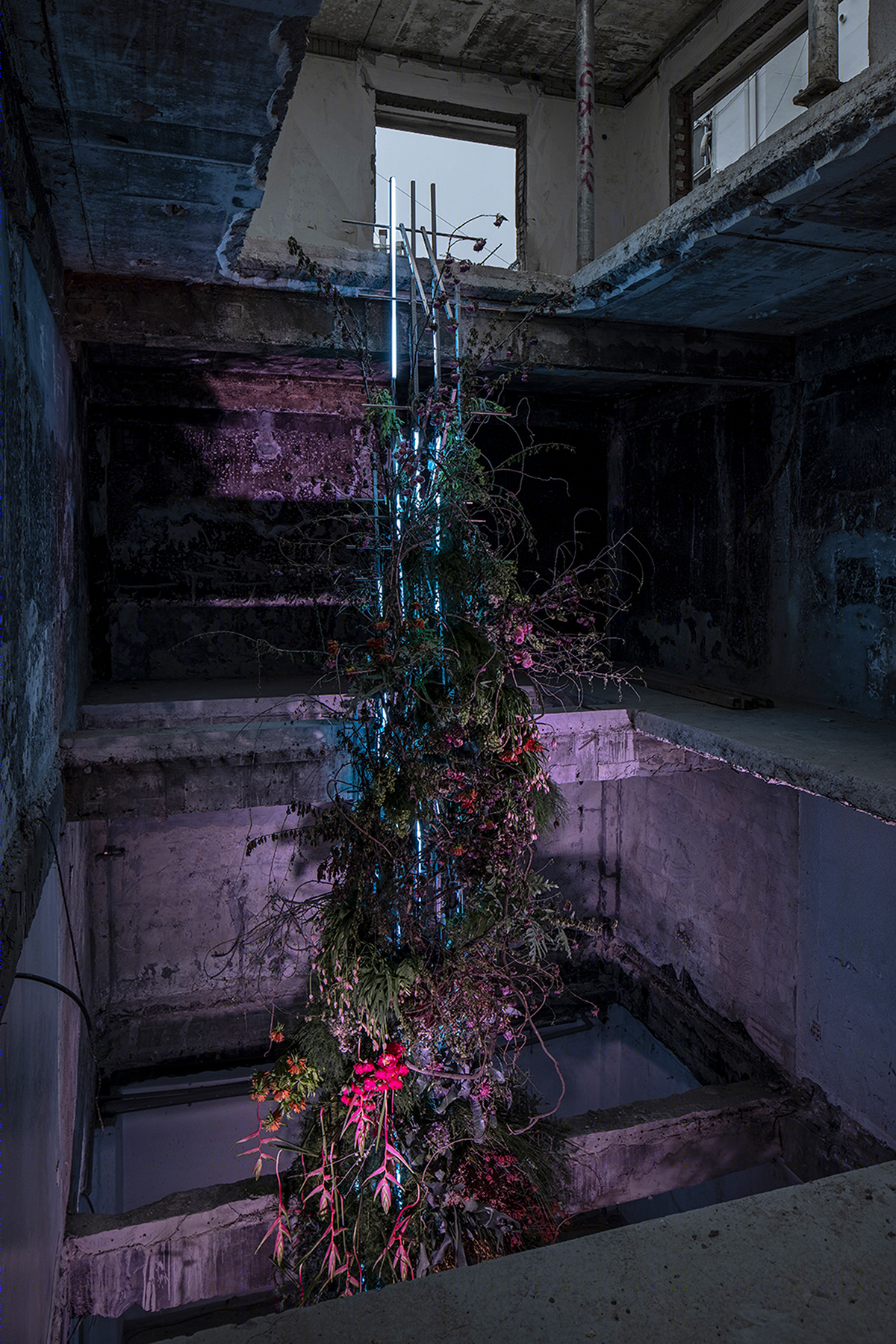 神秘空间中的花卉视觉盛宴丨Creator Group IVAAIU City-15