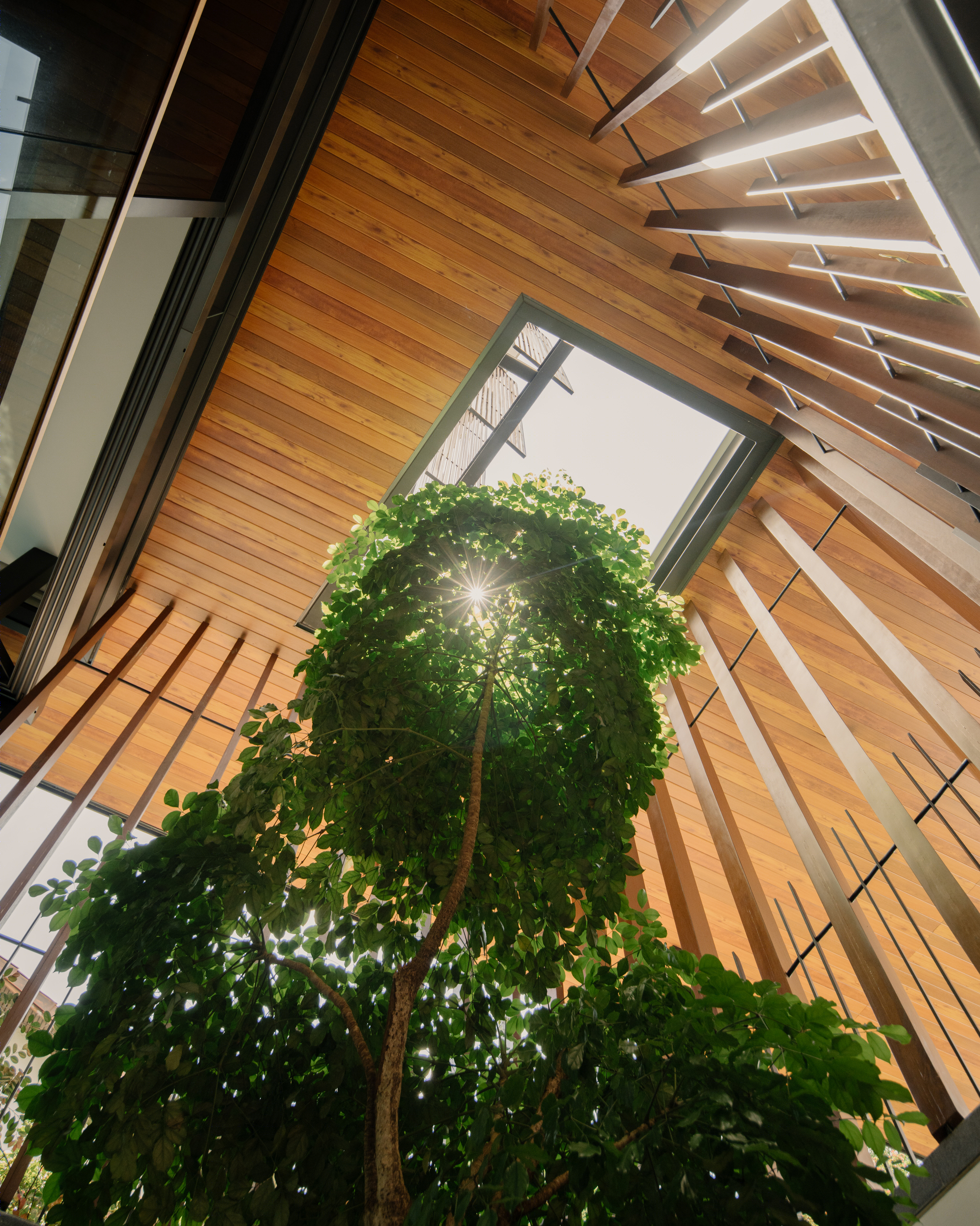 Second Nature House · 别墅设计融入自然,打破边界-22