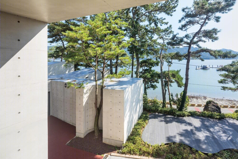 韩国“快乐君主码头俱乐部酒店”-31