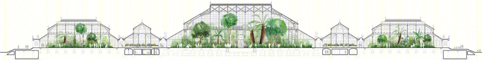 Temperate House（温室）-13