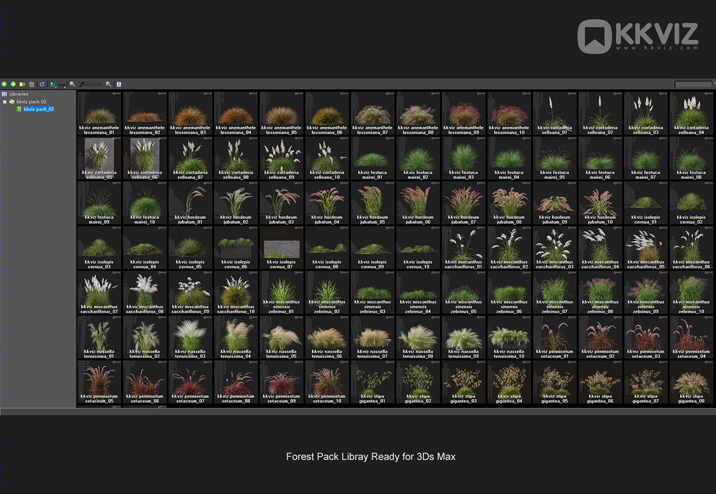 KKVIZ Pack 02 - Grasses 3d Model Collection 提升景观设计真实感-18