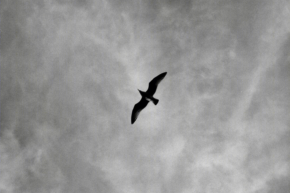 伦敦与布莱顿 · 光影之间的英伦风景丨英国丨@obalastar-6