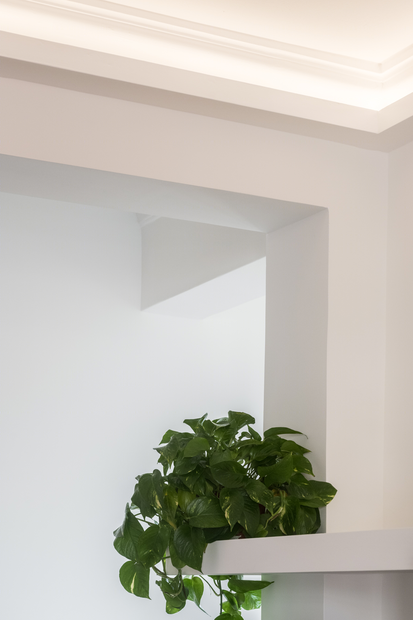 Mondrian 风格的空间网格 | 红蓝黄的活力之作-3