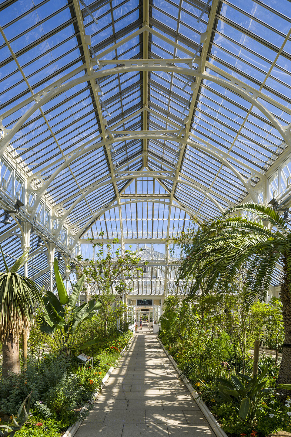 Temperate House(温室)-22