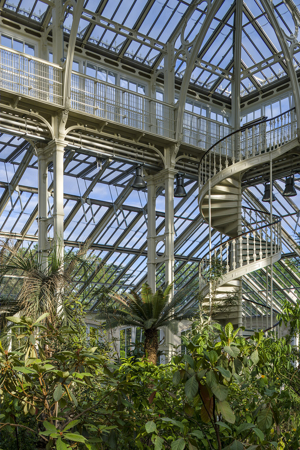 Temperate House(温室)-23