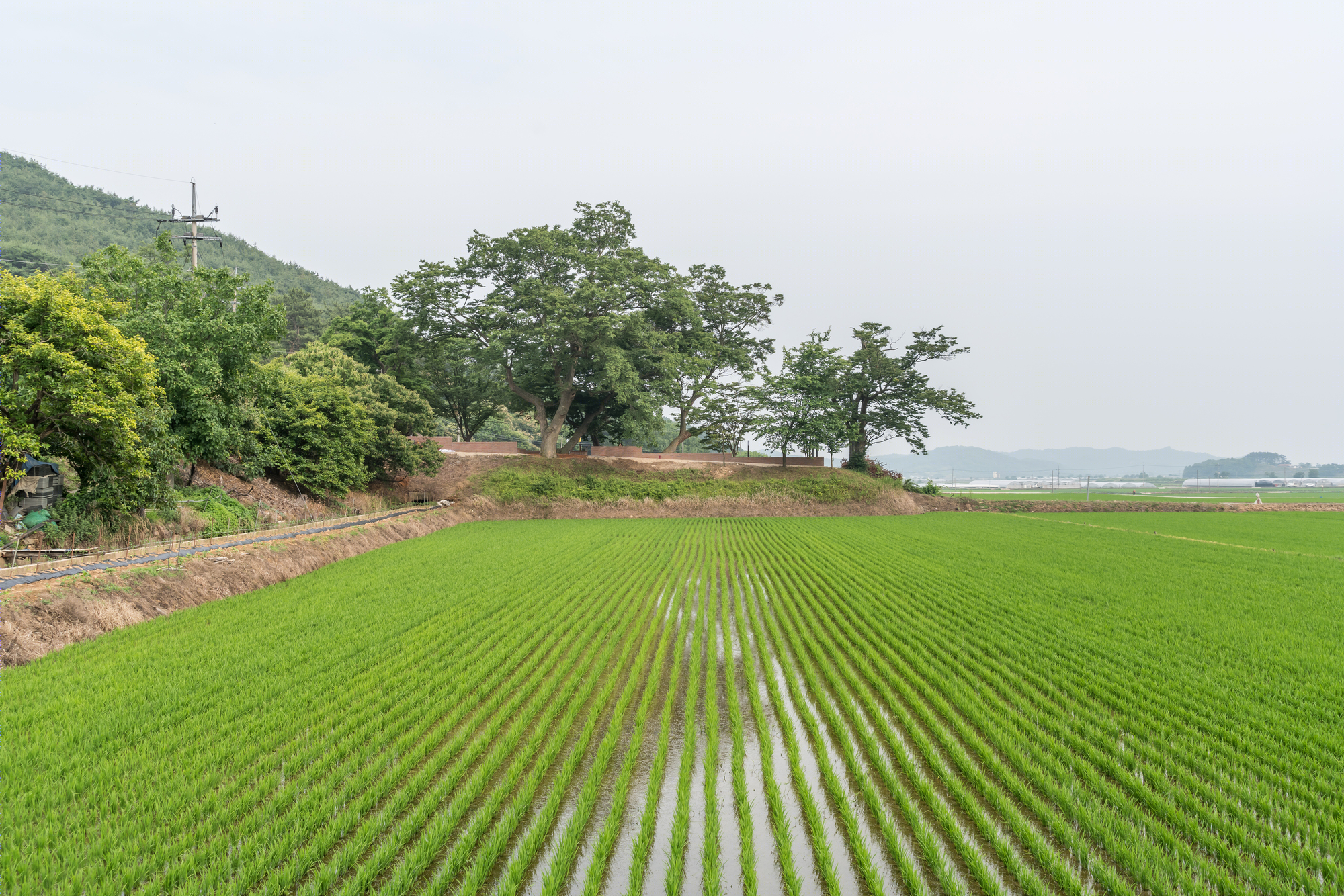 韩国 Songjeong 绘本村公共设施 | 自然材料与和谐空间的共生-24