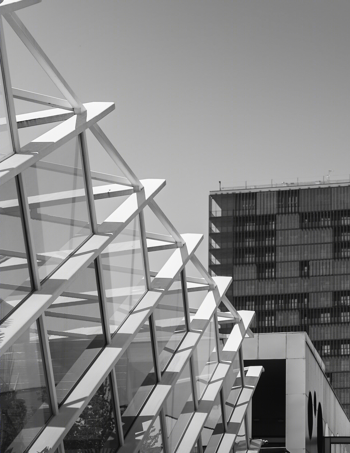 Studio Italo Rota & Partners, Italo Rota丨办公建筑丨Levi's HQ - Italo Rota & Partners-12