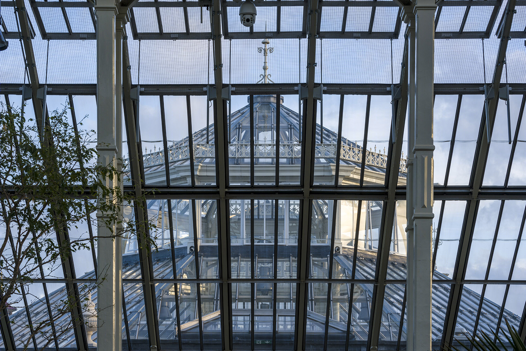 Temperate House(温室)-33