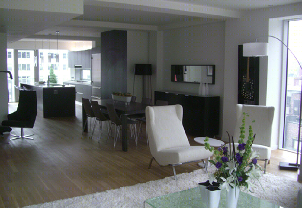 Daniel Goldner 建筑事务所打造纽约时尚住宅-4