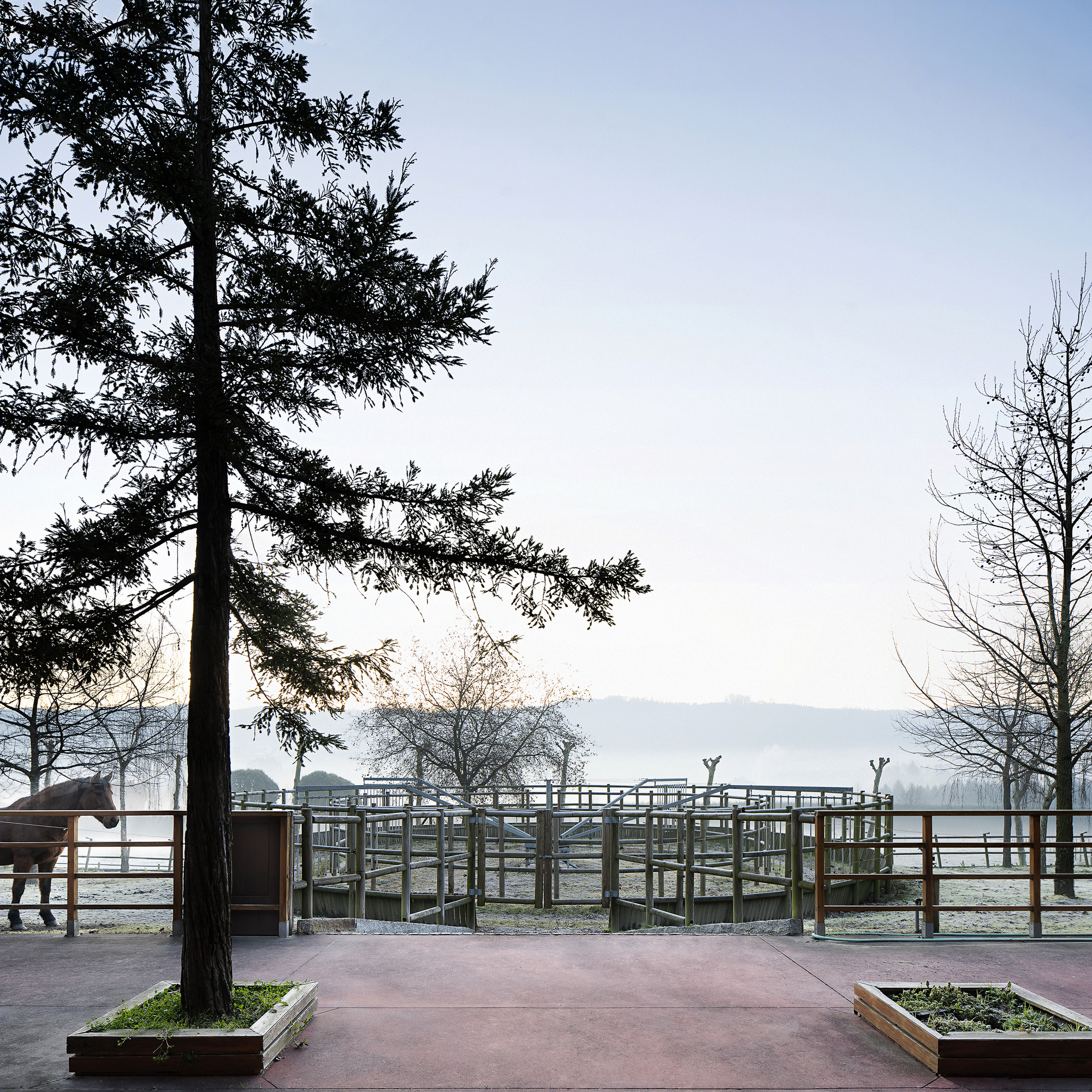 葡萄牙 MG Coudelaria Stud Farm 自然共生马场设计-13