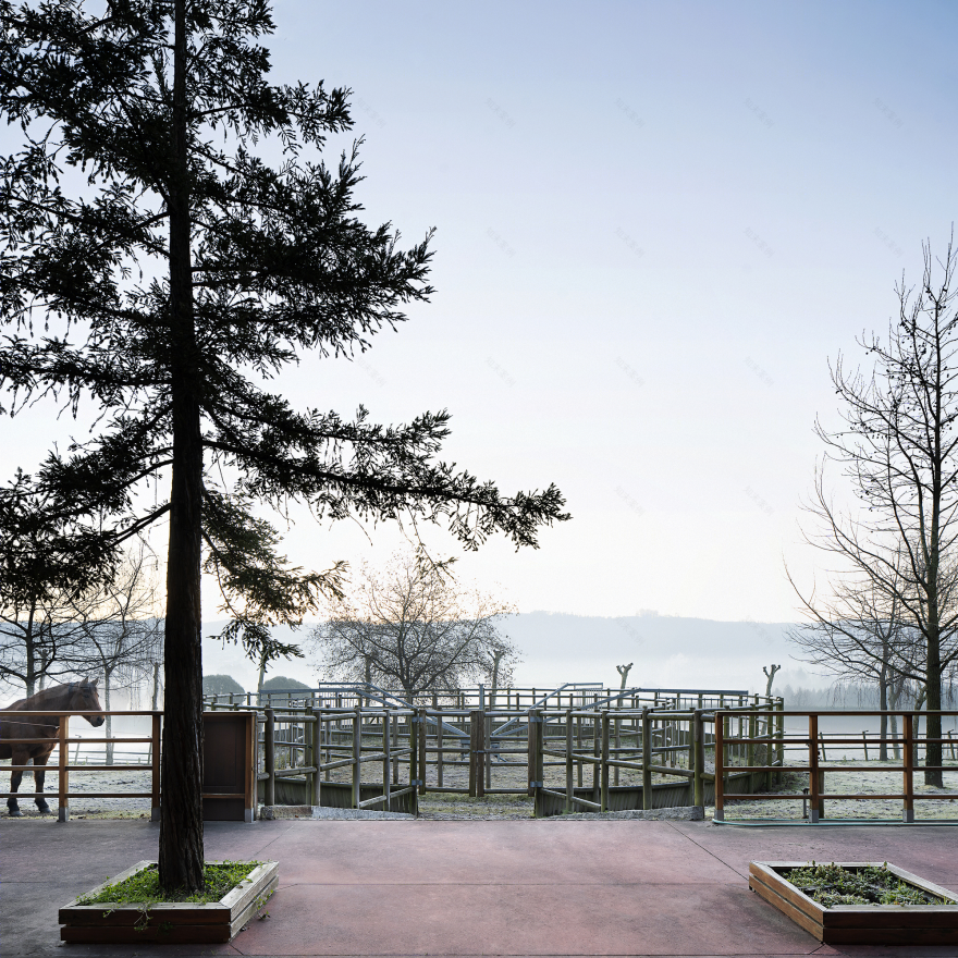 葡萄牙 MG Coudelaria Stud Farm 自然共生马场设计-13