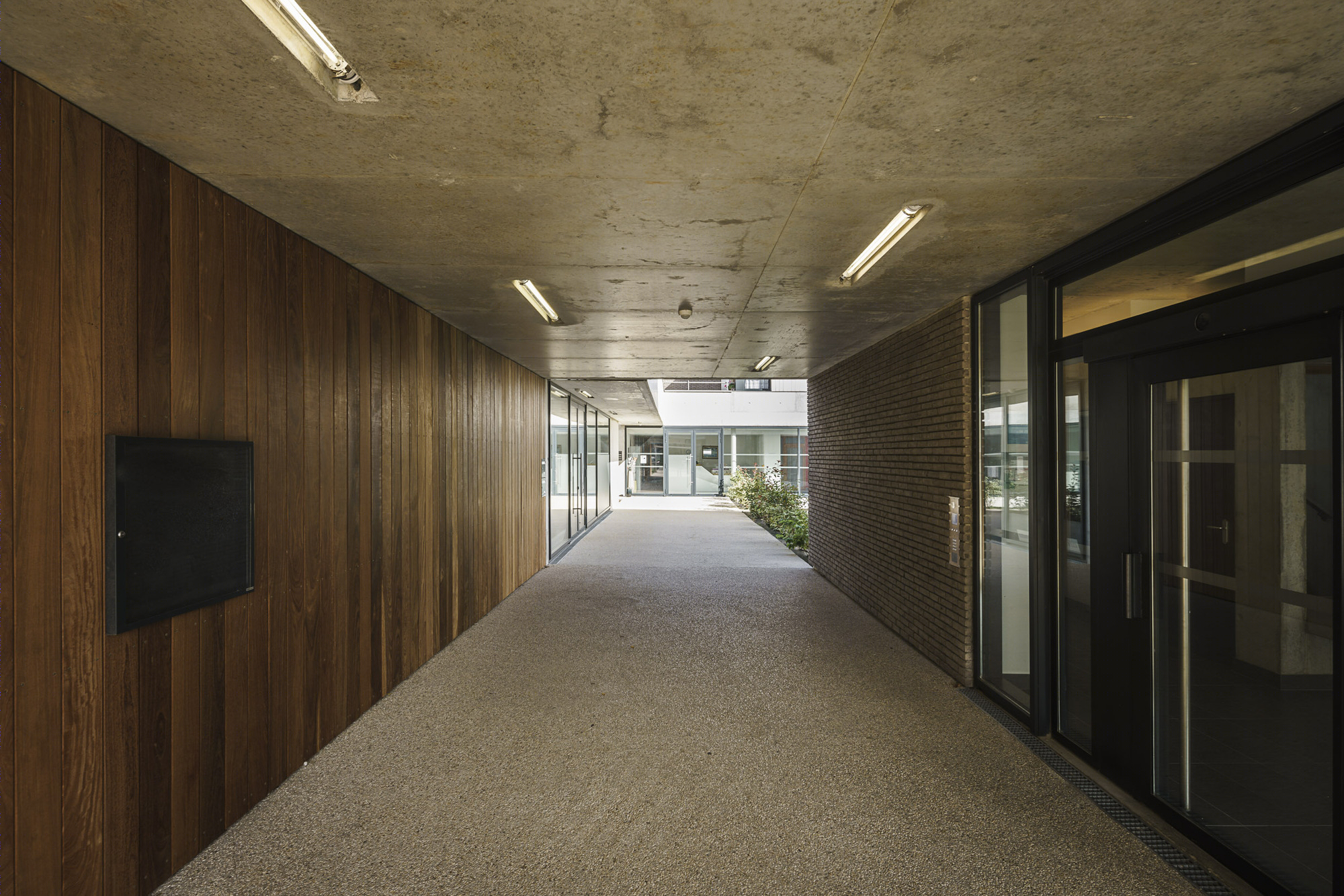 莱斯·哈拉特斯老年住房-16