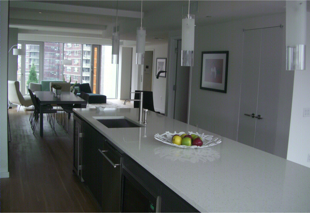 Daniel Goldner 建筑事务所打造纽约时尚住宅-5